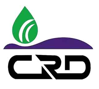 安徽大豆种植灌溉方法